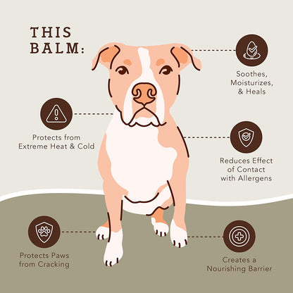 Pawtection Dog Paw Balm, Protects Paws from Hot Surfaces, Sand, Salt, & Snow, Organic, All Natural Ingredients