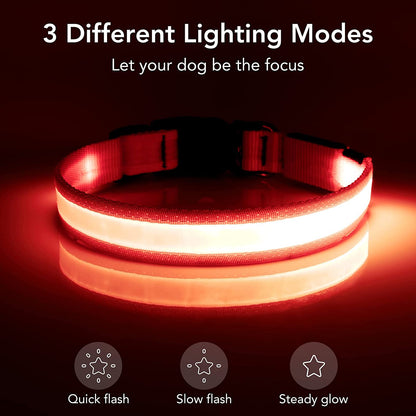 LED Dog Collar, Light up Dog Collar Adjustable USB Rechargeable Super Bright Safety Light Glowing Collars for Dogs